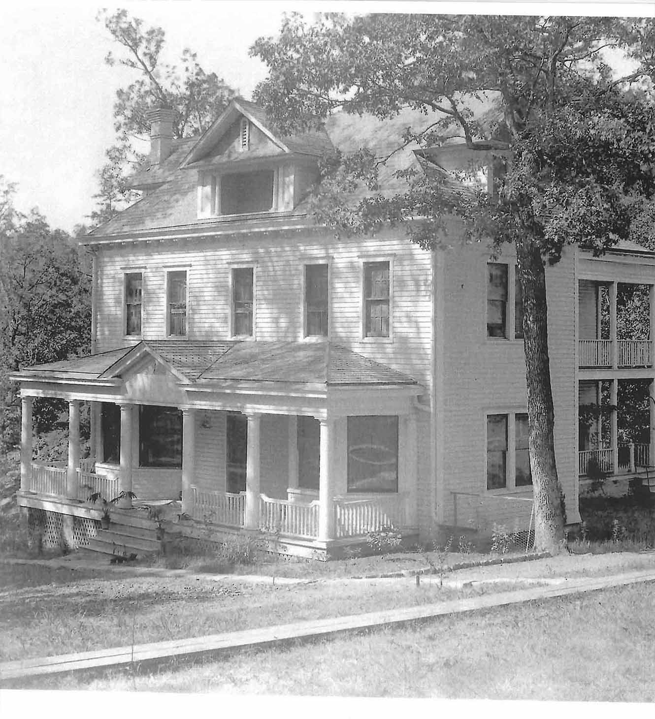 pexels-matteus-silva-6153616